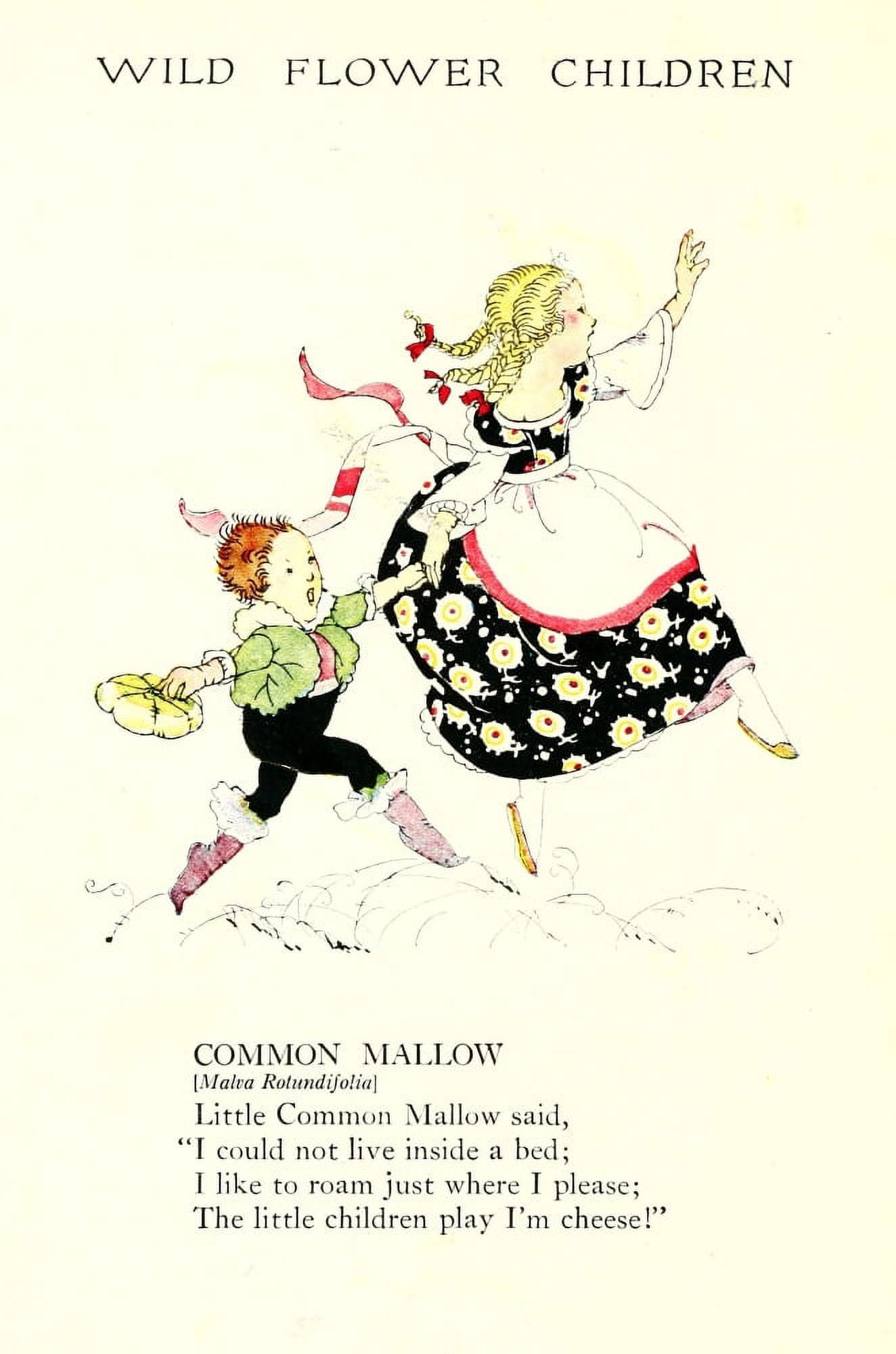 Wild Flower Children c1918 Common Mallow Canvas Art - Janet Laura Scott (24 x 36)