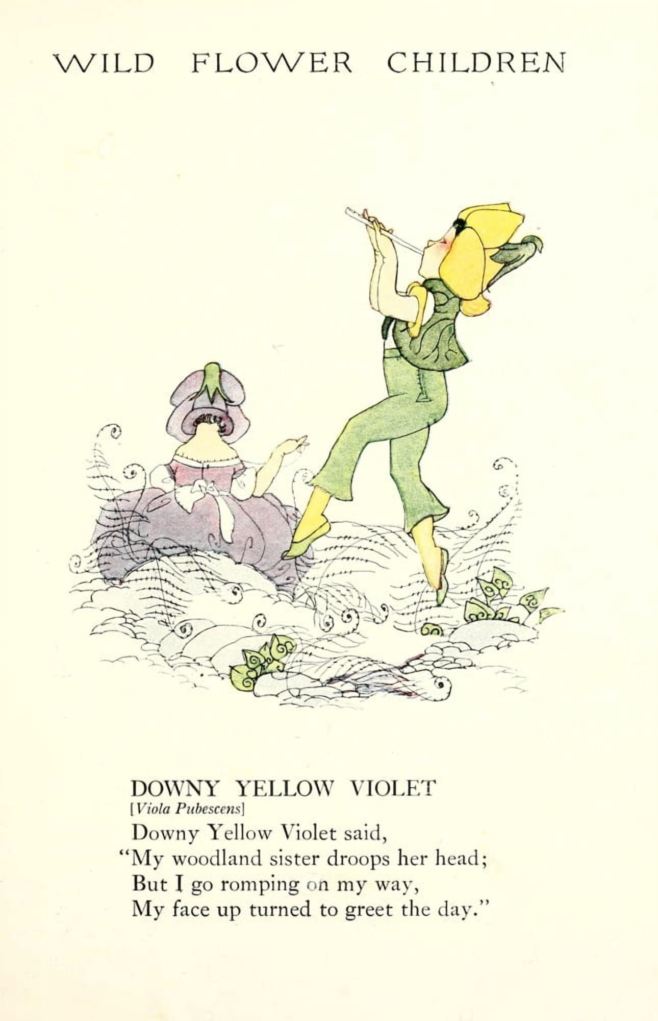Wild Flower Children c1918 Downy Yellow Violet Canvas Art - Janet Laura Scott (18 x 24)