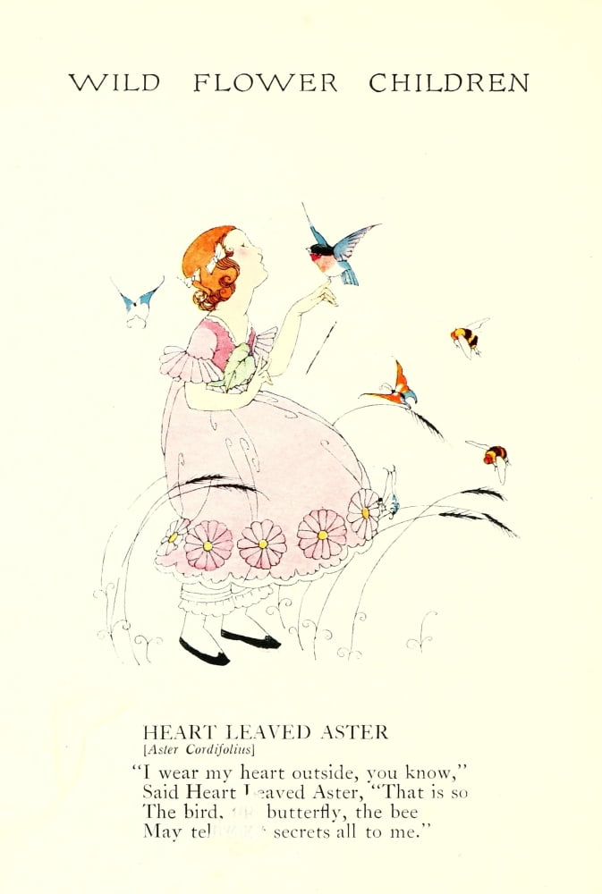 Wild Flower Children c1918 Heart-leaved Aster Canvas Art - Janet Laura Scott (18 x 24)
