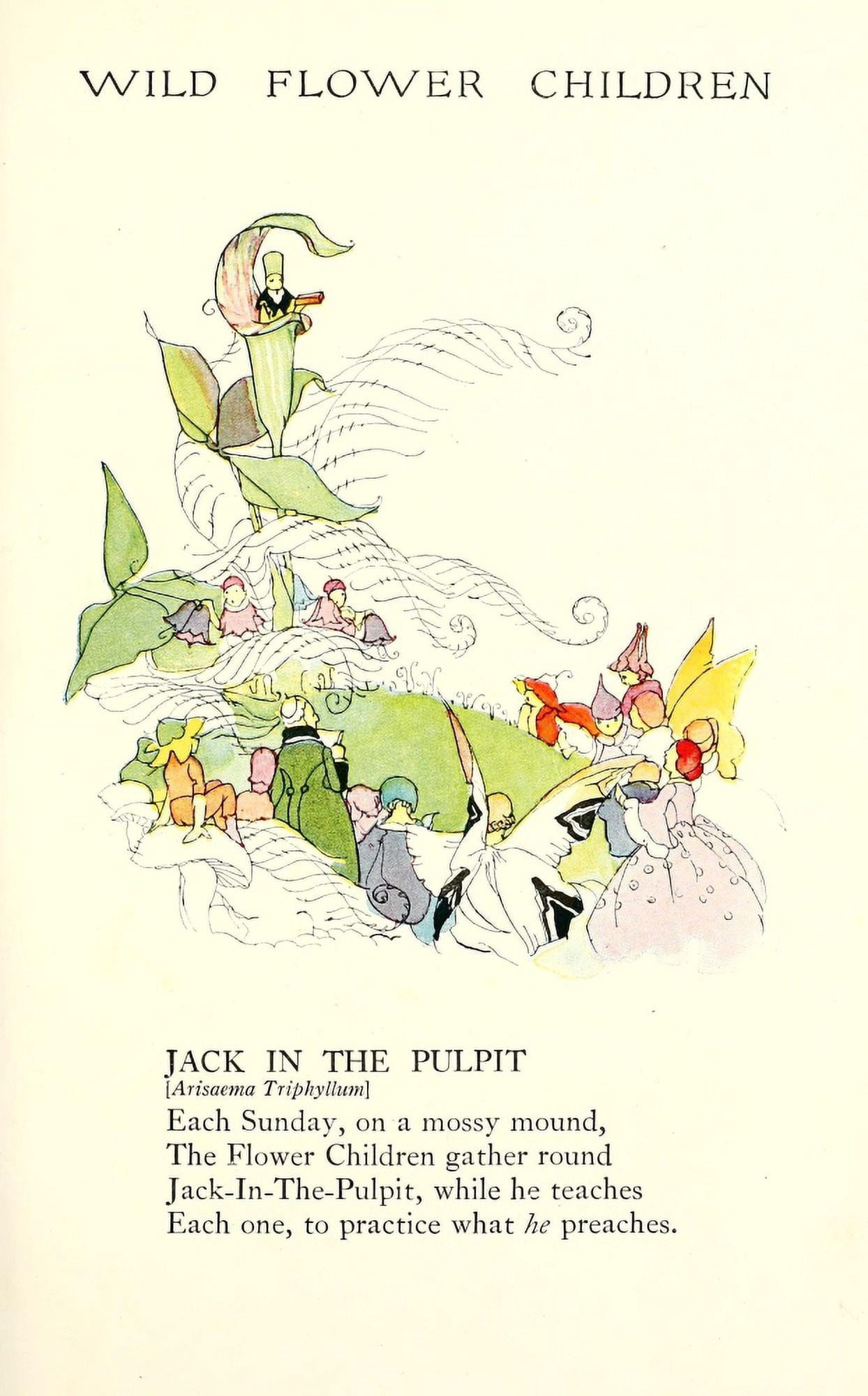 Wild Flower Children c1918 Jack in the Pulpit Canvas Art - Janet Laura Scott (18 x 24)