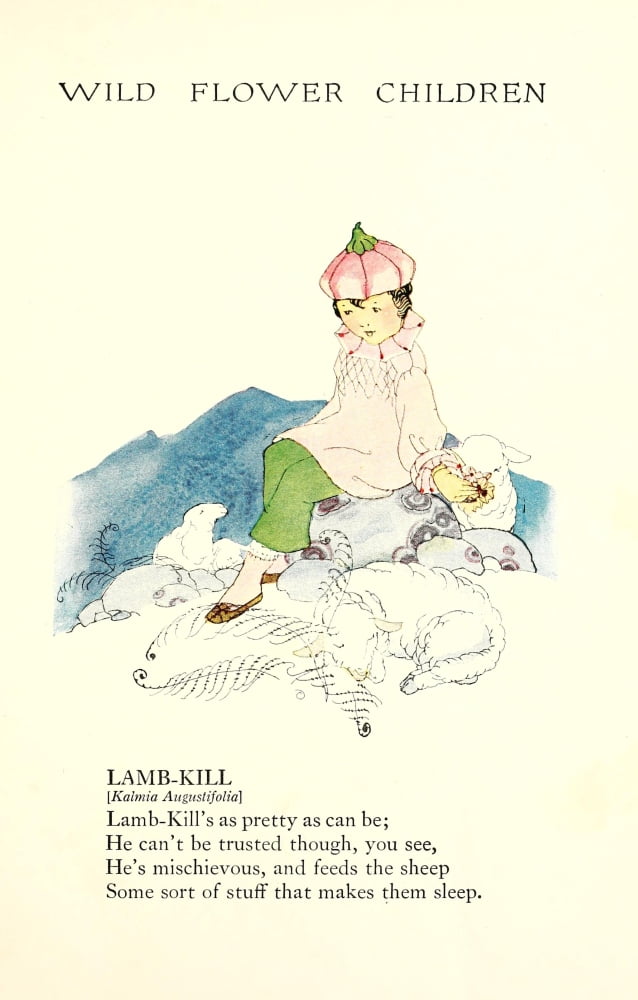 Wild Flower Children c1918 Lamb-kill Canvas Art - Janet Laura Scott (24 x 36)