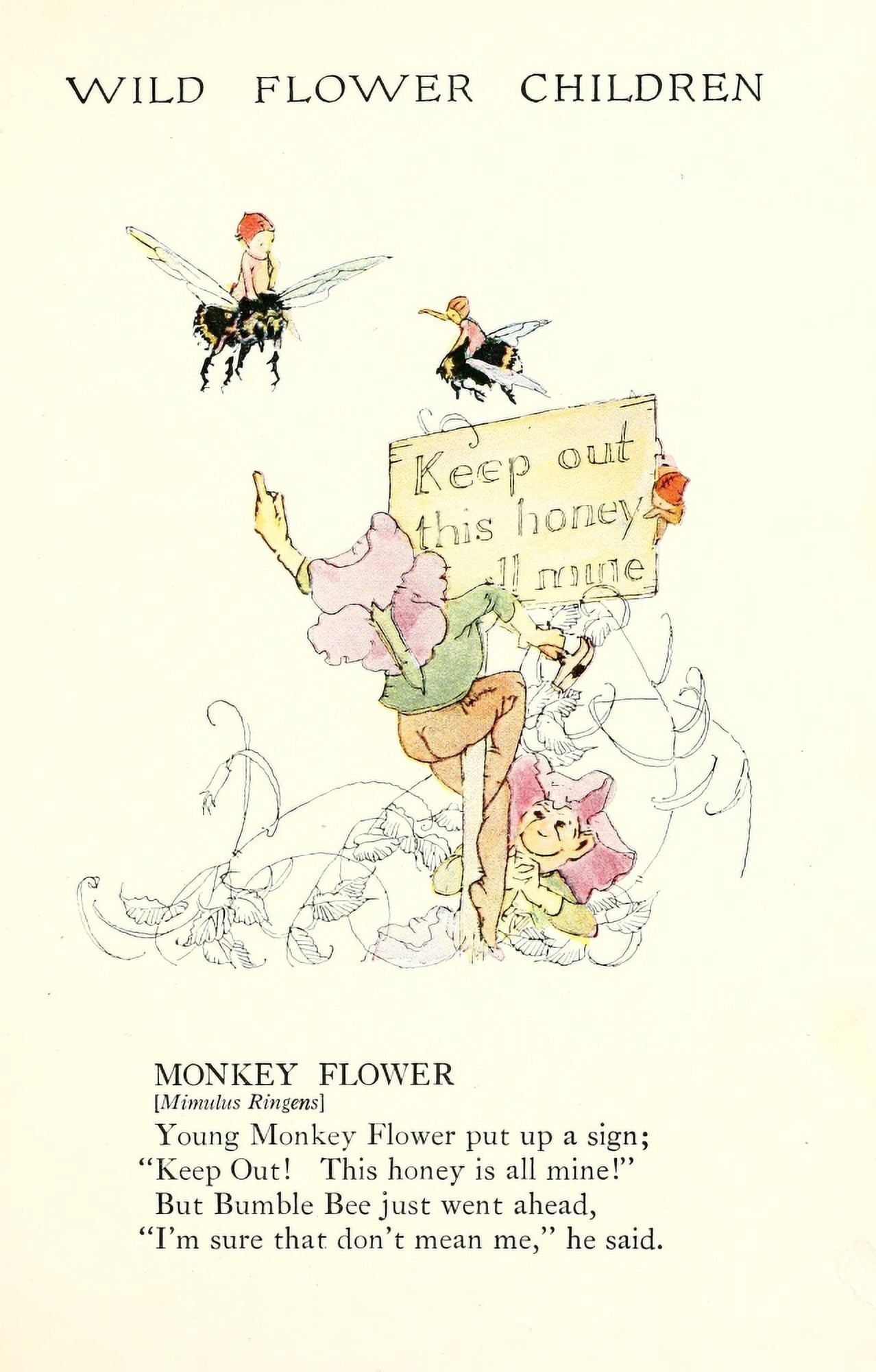 Wild Flower Children c1918 Monkey Flower Canvas Art - Janet Laura Scott (18 x 24)