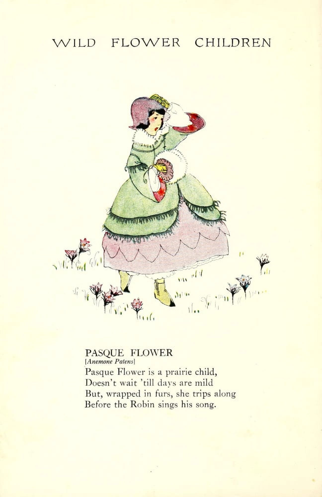 Wild Flower Children c1918 Pasque Flower Canvas Art - Janet Laura Scott (24 x 36)