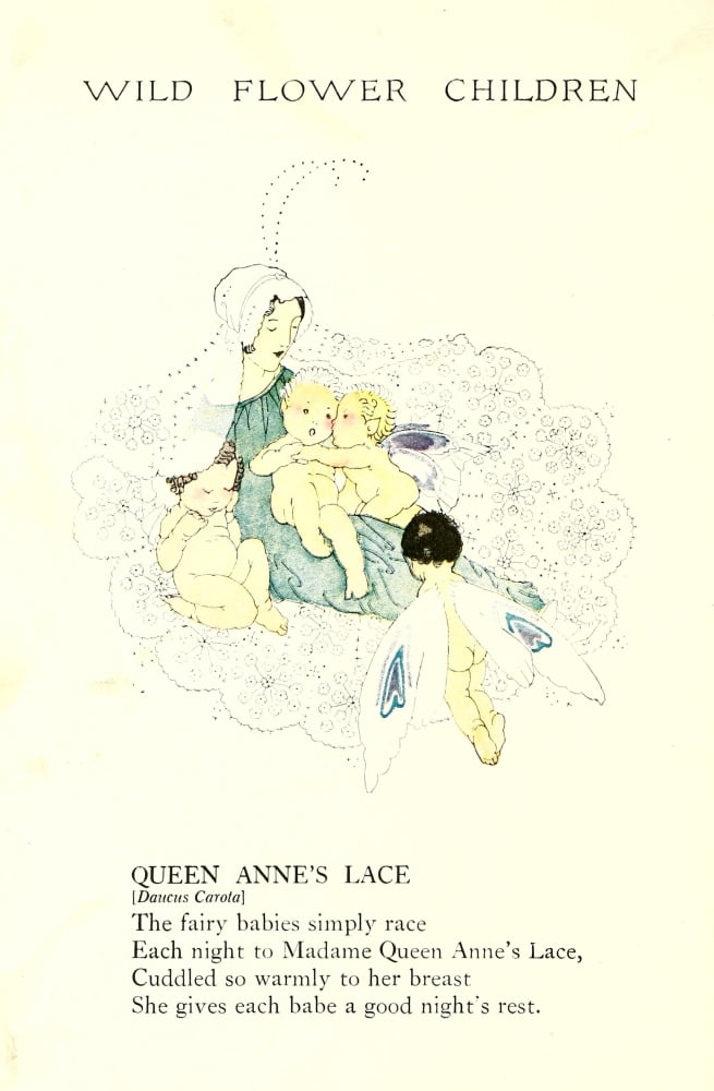 Wild Flower Children c1918 Queen Annes Lace Canvas Art - Janet Laura Scott (18 x 24)