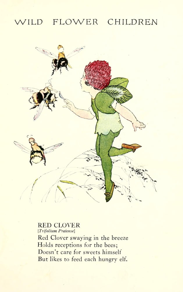 Wild Flower Children c1918 Red Clover Canvas Art - Janet Laura Scott (24 x 36)