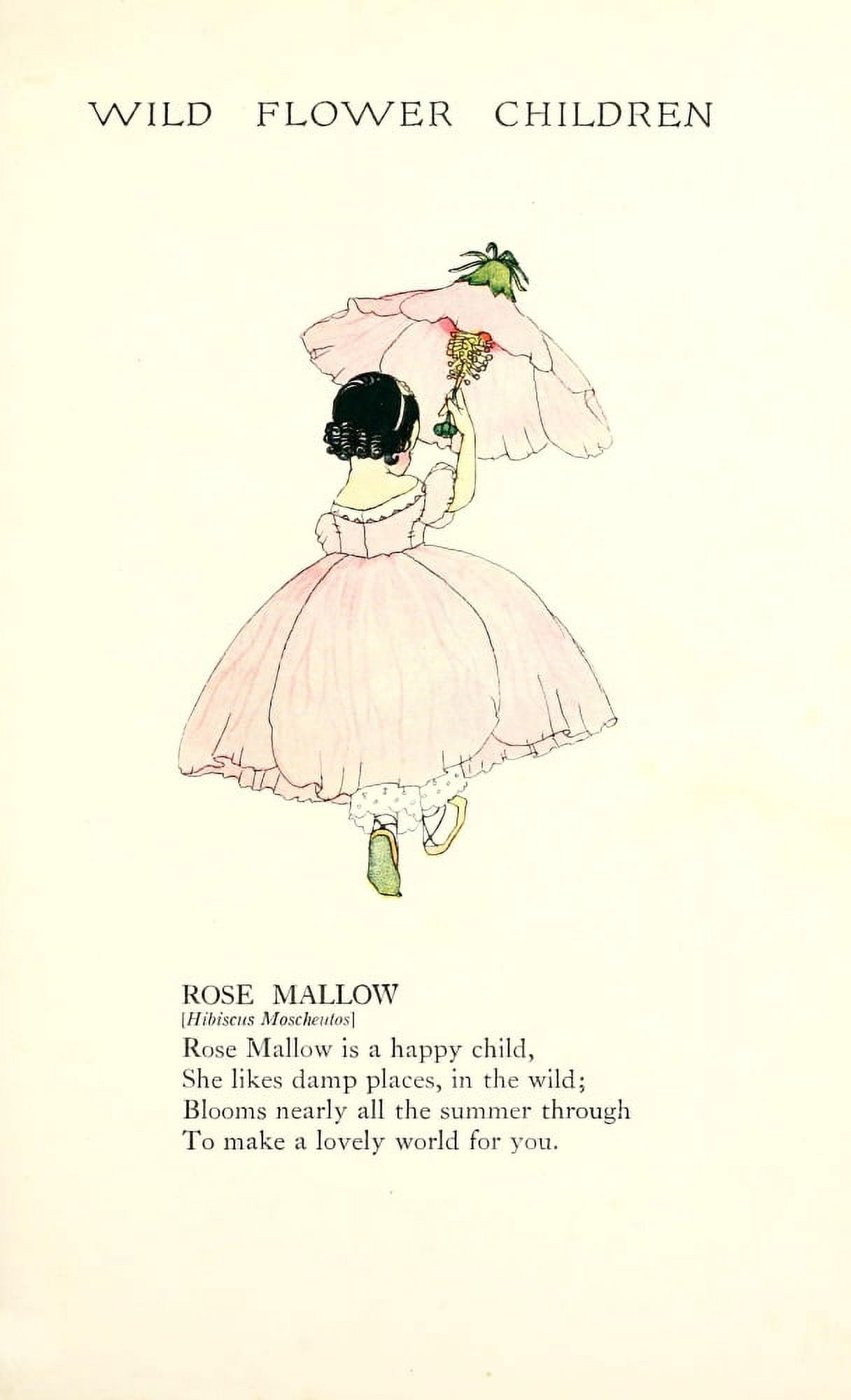 Wild Flower Children c1918 Rose Mallow Canvas Art - Janet Laura Scott (18 x 24)
