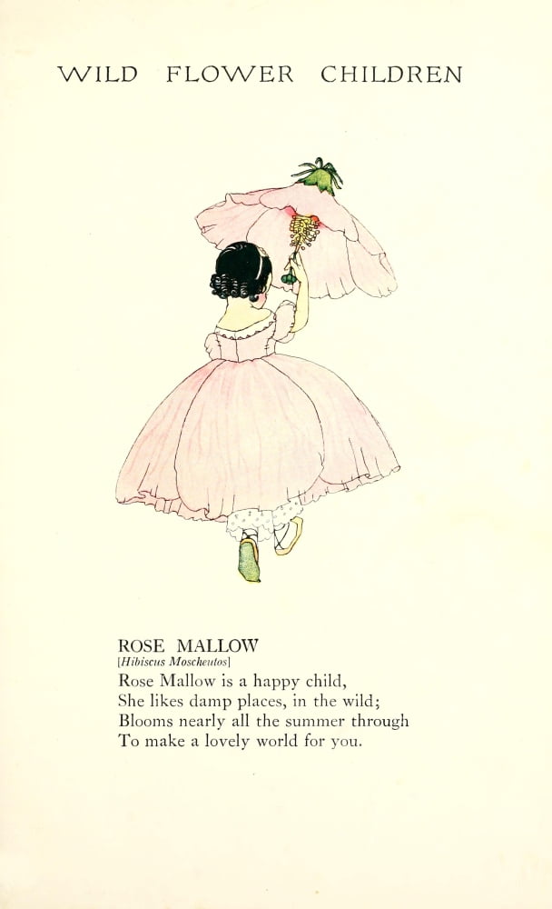 Wild Flower Children c1918 Rose Mallow Canvas Art - Janet Laura Scott (24 x 36)