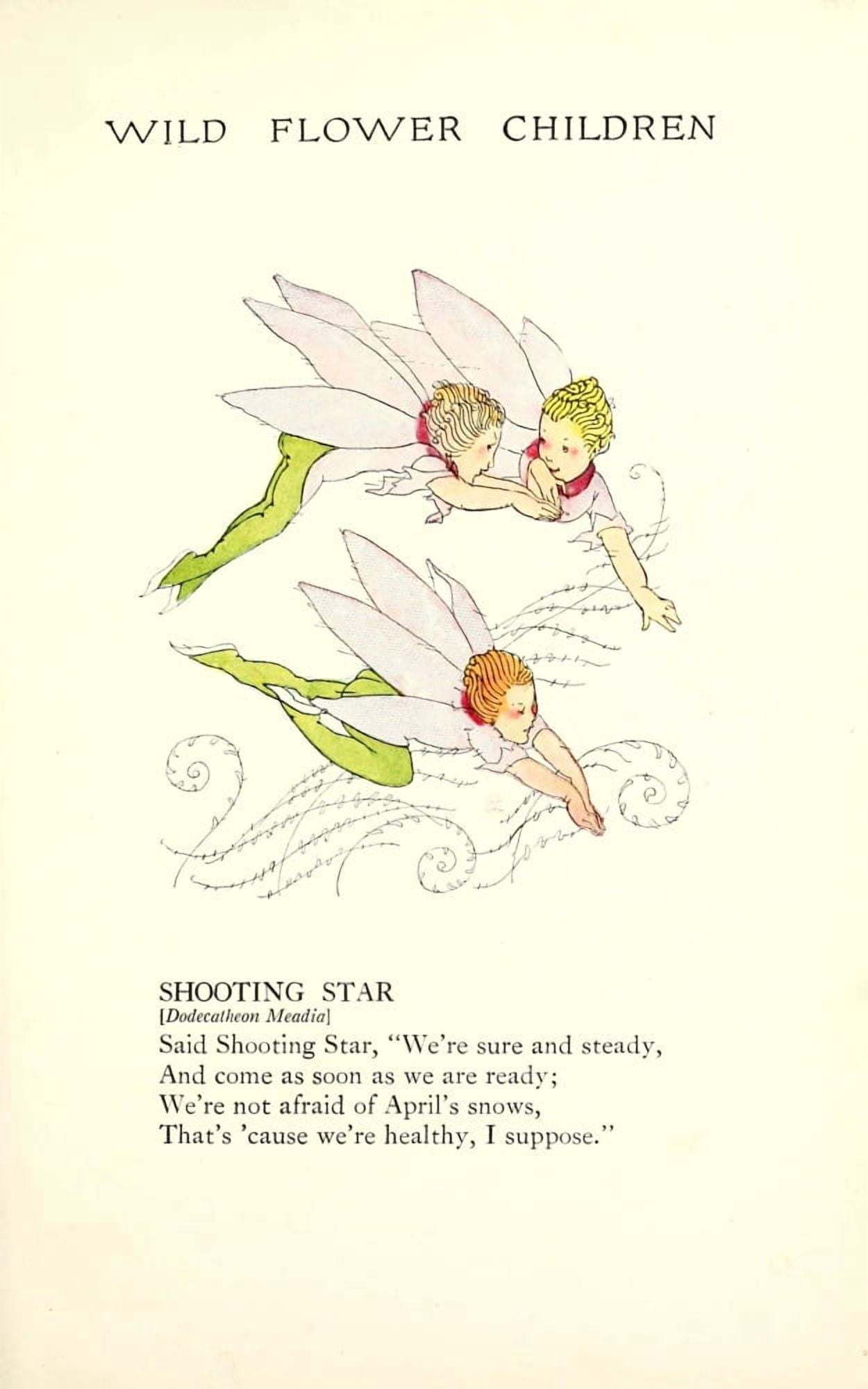 Wild Flower Children c1918 Shooting Star Canvas Art - Janet Laura Scott (18 x 24)