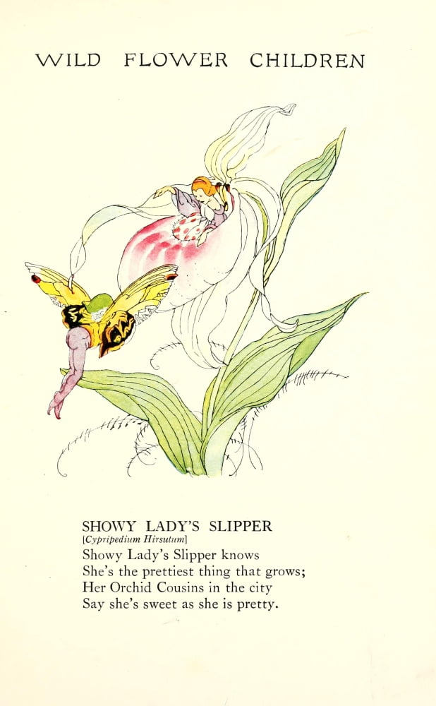Wild Flower Children c1918 Showy Ladys Slipper Canvas Art - Janet Laura Scott (18 x 24)