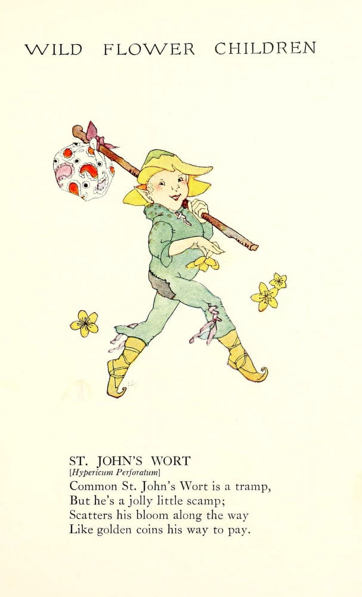 Wild Flower Children c1918 St Johns Wort Canvas Art - Janet Laura Scott (18 x 24)