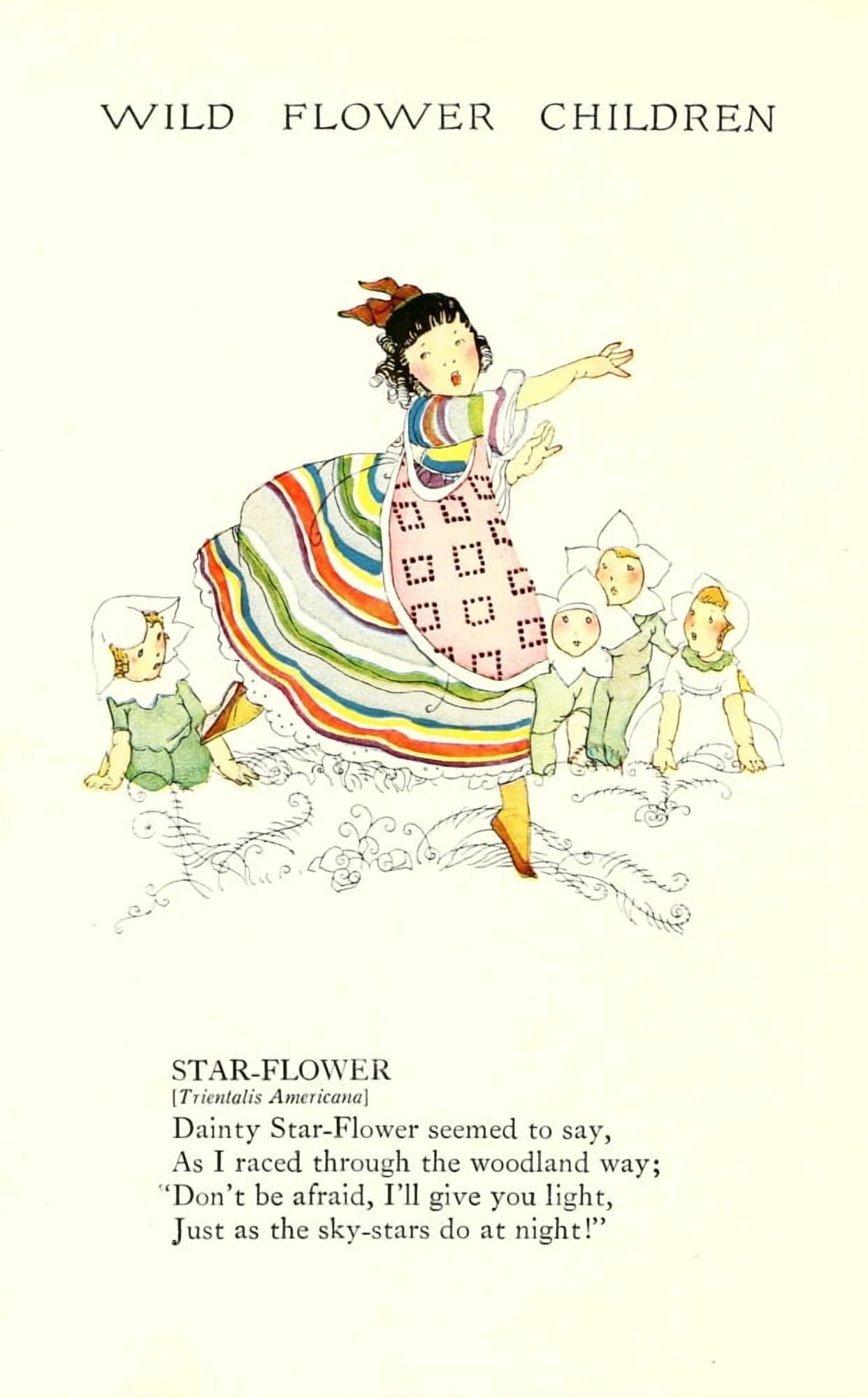Wild Flower Children c1918 Star-flower Canvas Art - Janet Laura Scott (18 x 24)