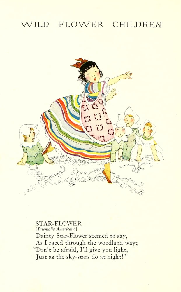 Wild Flower Children c1918 Star-flower Canvas Art - Janet Laura Scott (24 x 36)