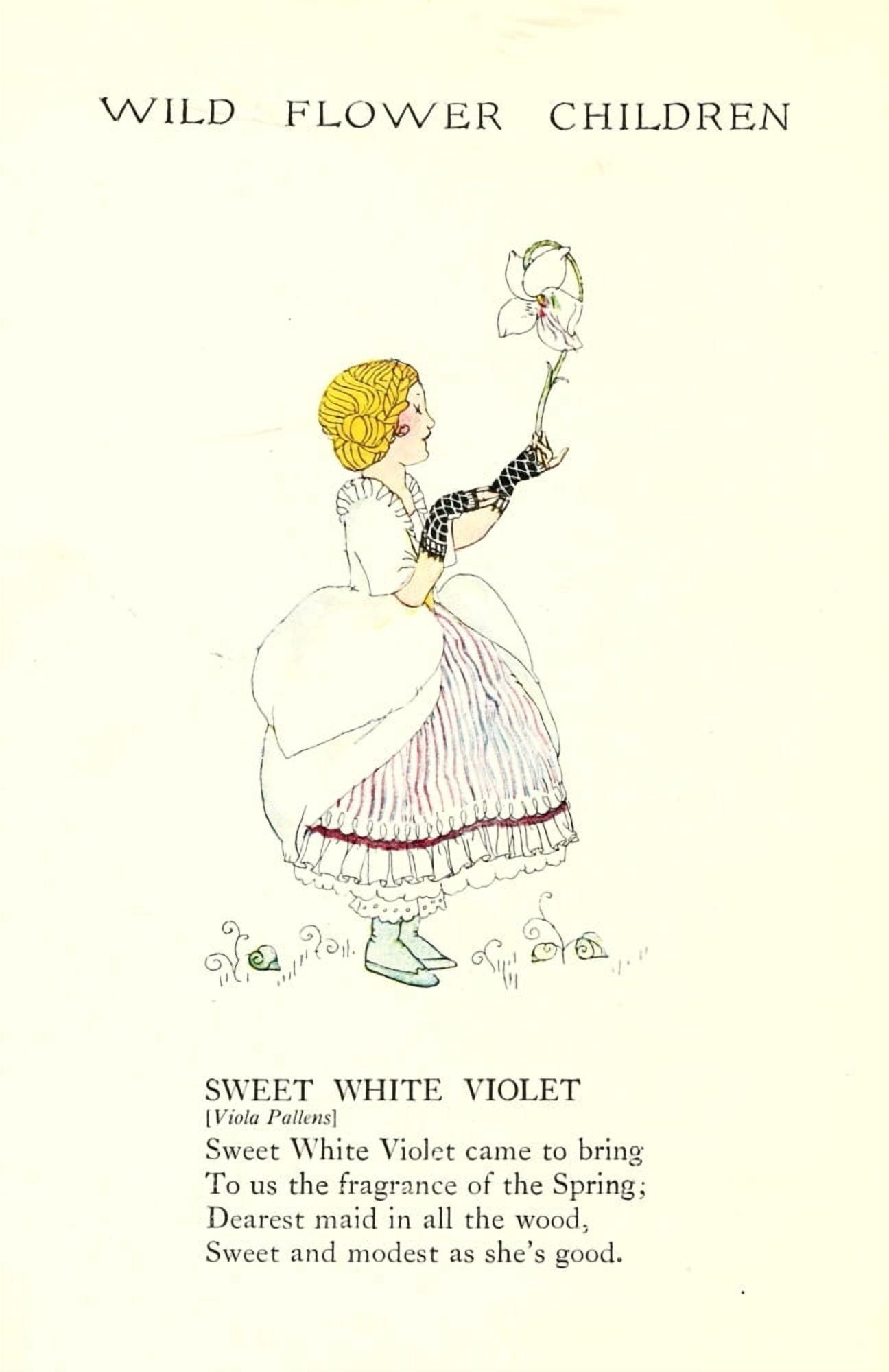 Wild Flower Children c1918 Sweet White Violet Canvas Art - Janet Laura Scott (18 x 24)