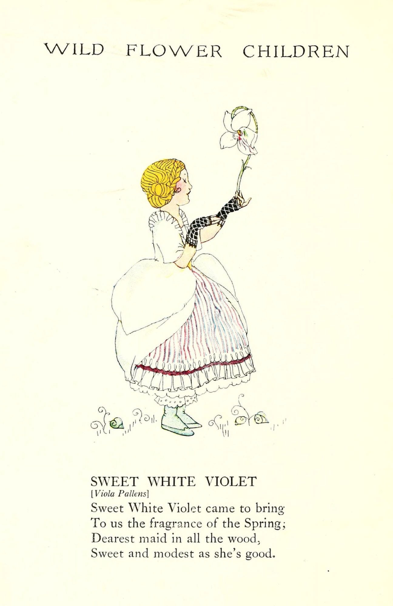 Wild Flower Children c1918 Sweet White Violet Canvas Art - Janet Laura Scott (24 x 36)