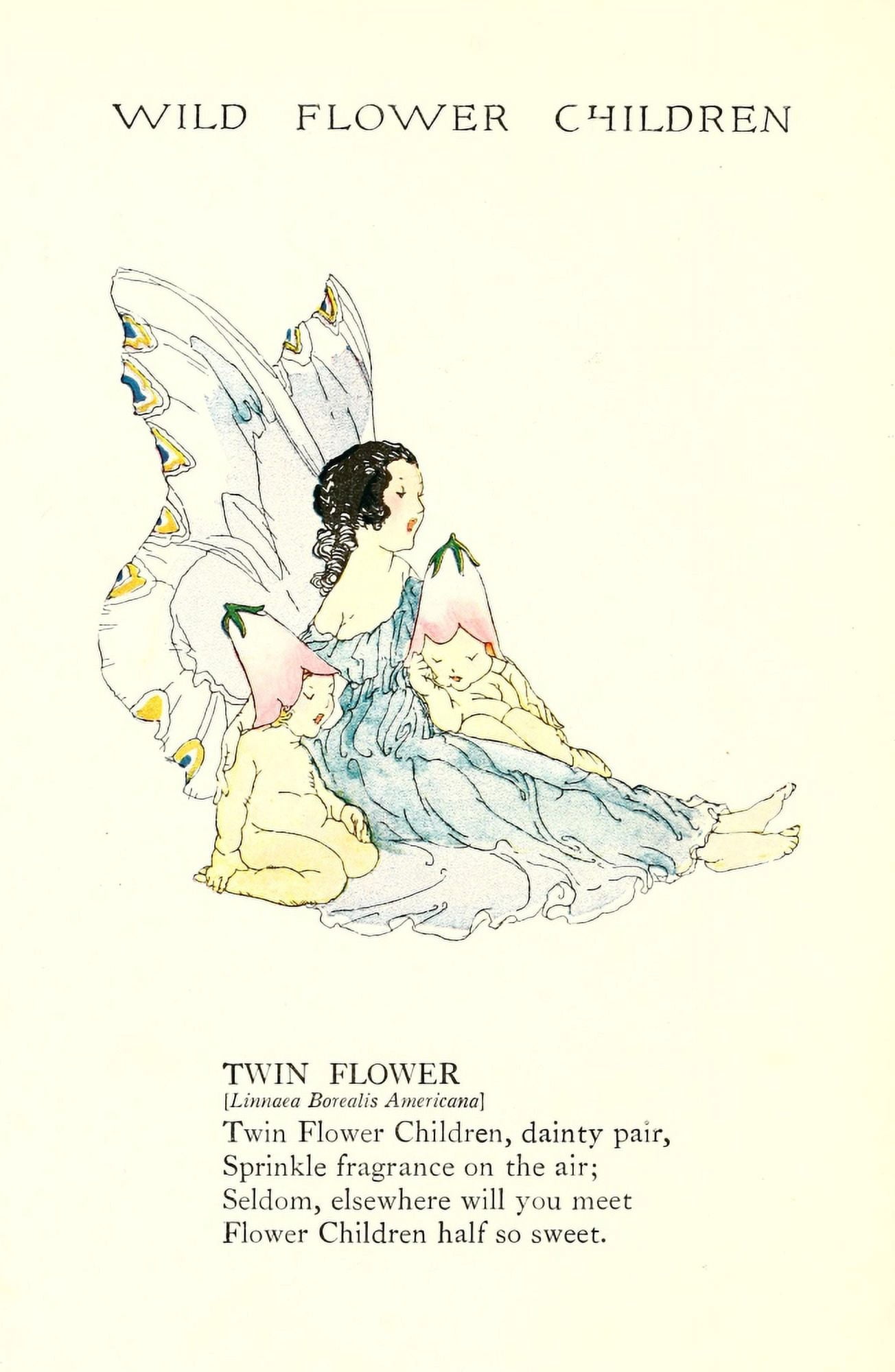 Wild Flower Children c1918 Twin Flower Canvas Art - Janet Laura Scott (24 x 36)