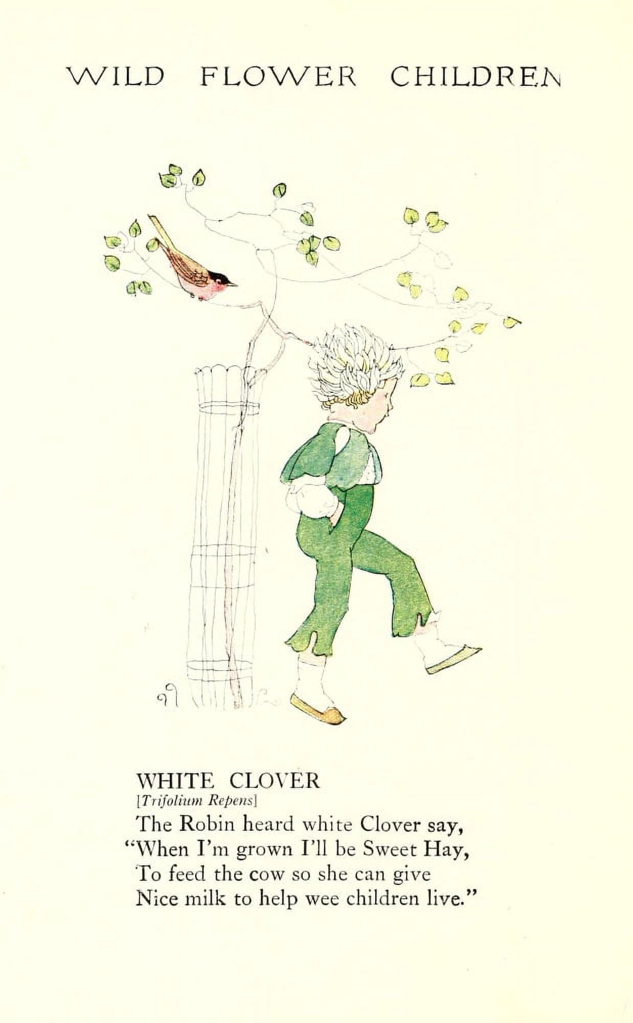 Wild Flower Children c1918 White Clover Canvas Art - Janet Laura Scott (24 x 36)