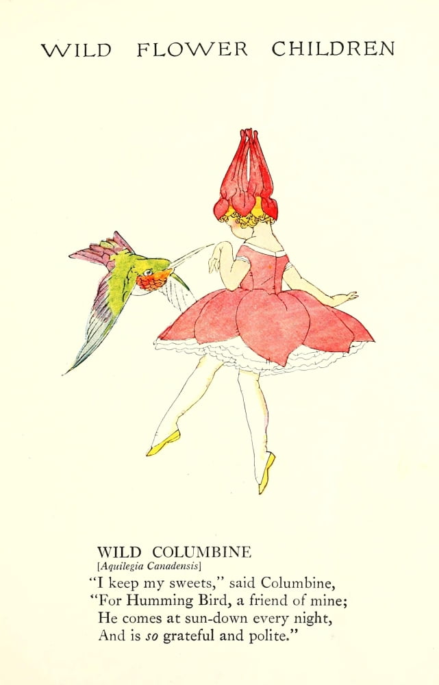 Wild Flower Children c1918 Wild Columbine Canvas Art - Janet Laura Scott (18 x 24)