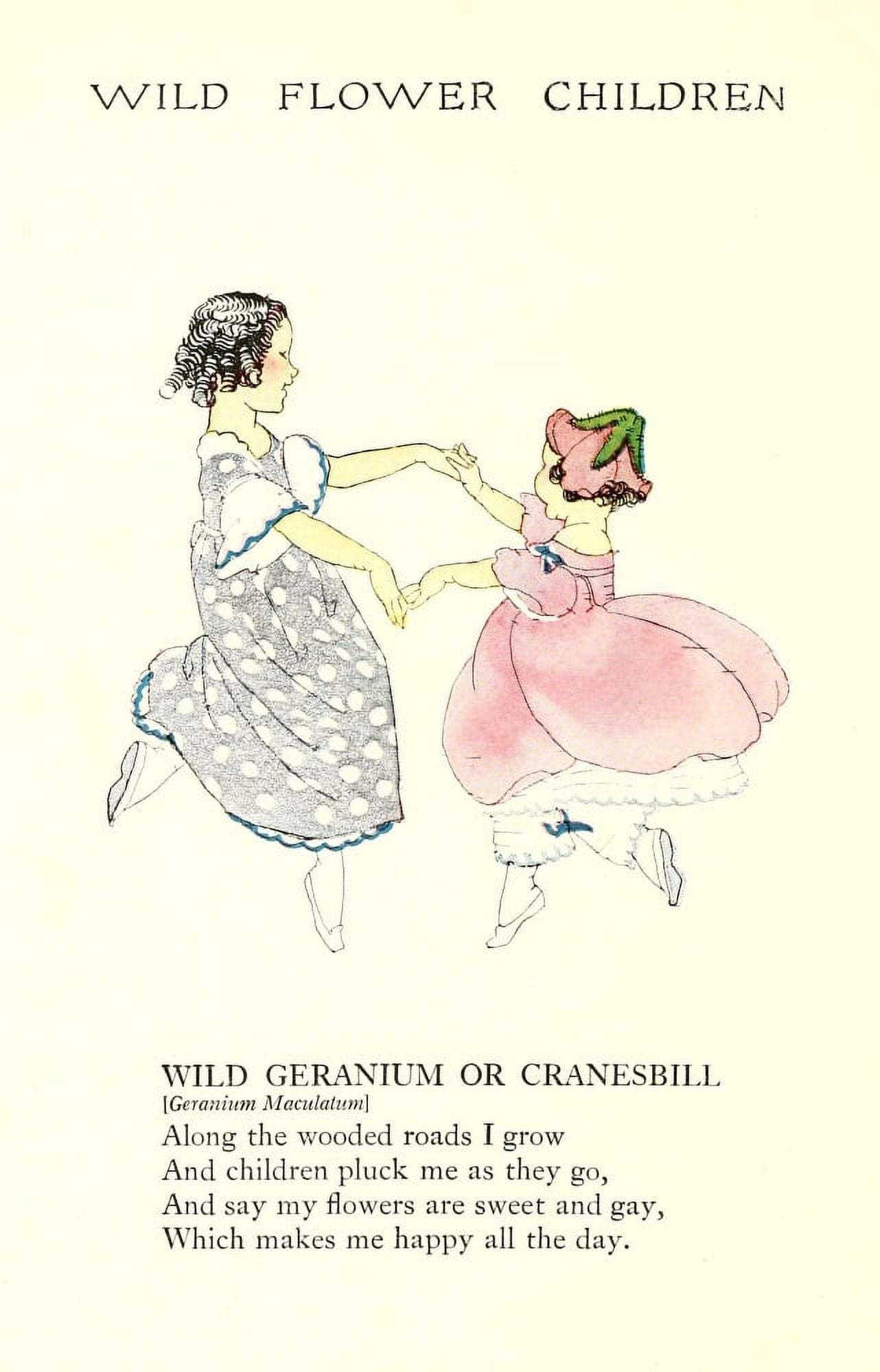 Wild Flower Children c1918 Wild Geranium or Cranesbill Canvas Art - Janet Laura Scott (18 x 24)
