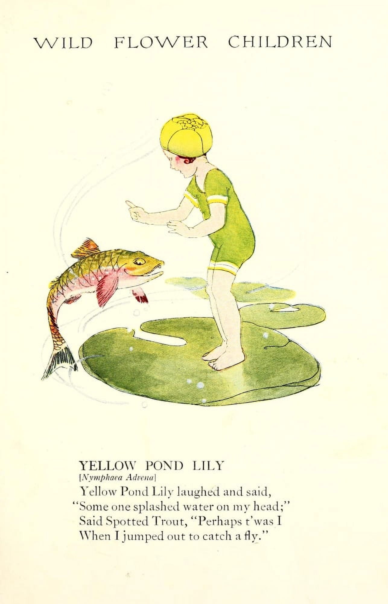 Wild Flower Children c1918 Yellow Pond Lily Canvas Art - Janet Laura Scott (18 x 24)