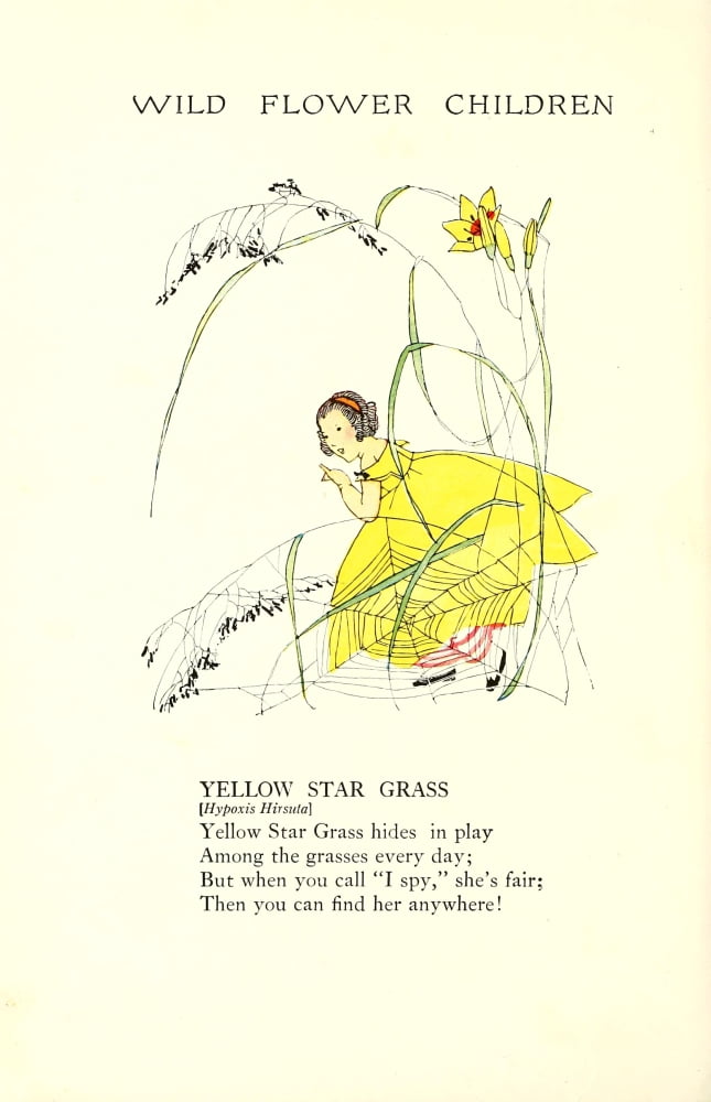 Wild Flower Children c1918 Yellow Star Grass Canvas Art - Janet Laura Scott (24 x 36)