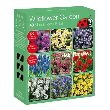 Wild Flower Garden Nature Friendly Collection Assorted Perennials Full Sun Bulbs 40 Pack