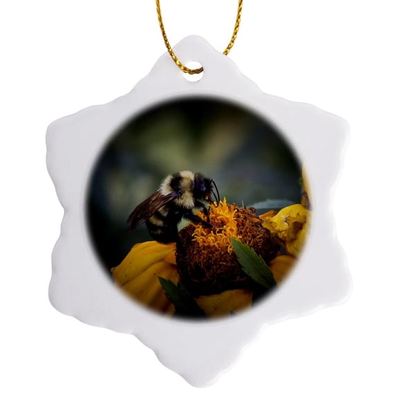 3drose, Wild Flower with Bumble Bee Helping One Another - Close up Image with Detail for Home Décor, 3 inch Snowflake Porcelain Ornament