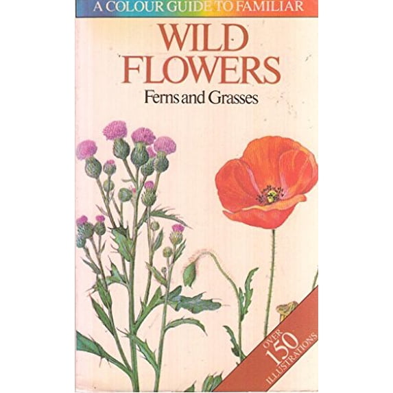 Pre-Owned Wild Flowers: A Color Guide to Familiar Wild Flowers: Ferns and Grasses by Bohumil Slavik (Paperback), Czech