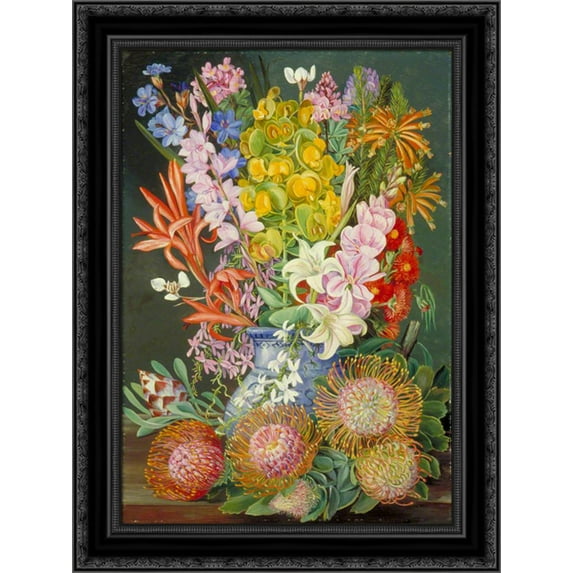 Wild Flowers of Ceres, South Africa 20x24 Black Ornate Wood Framed Canvas Art by North, Marianne