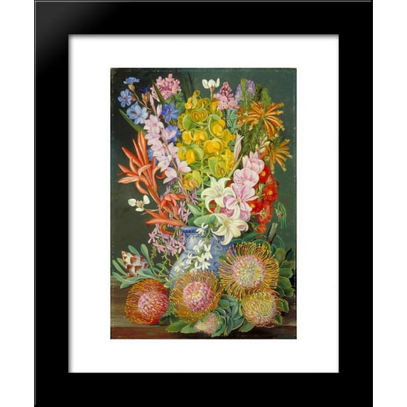 Wild Flowers of Ceres, South Africa 20x24 Framed Art Print by North, Marianne