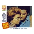 thumbnail image 1 of Wild In The Country Still (10 x 8), 1 of 1