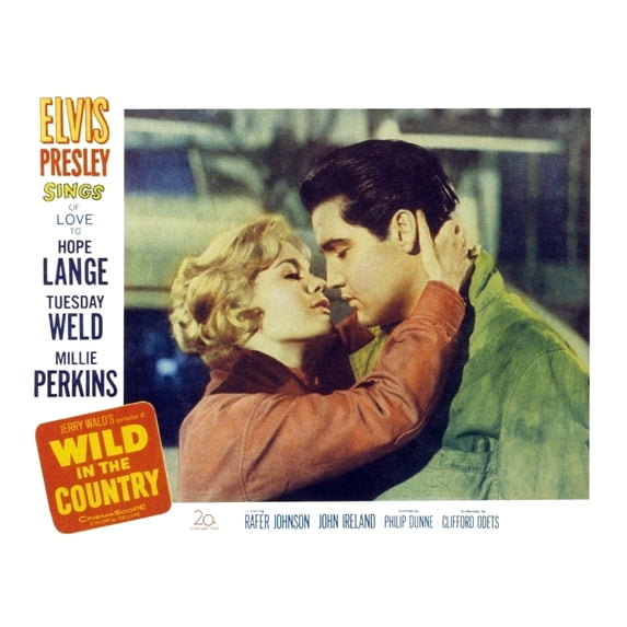 Wild In The Country Still (10 x 8)