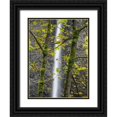 thumbnail image 1 of Wild, Jamie and Judy 12x14 Black Ornate Wood Framed with Double Matting Museum Art Print Titled - Oregon-Columbia River Gorge National Scenic Area-Latourell Falls and Big Leaf Maple trees, 1 of 4