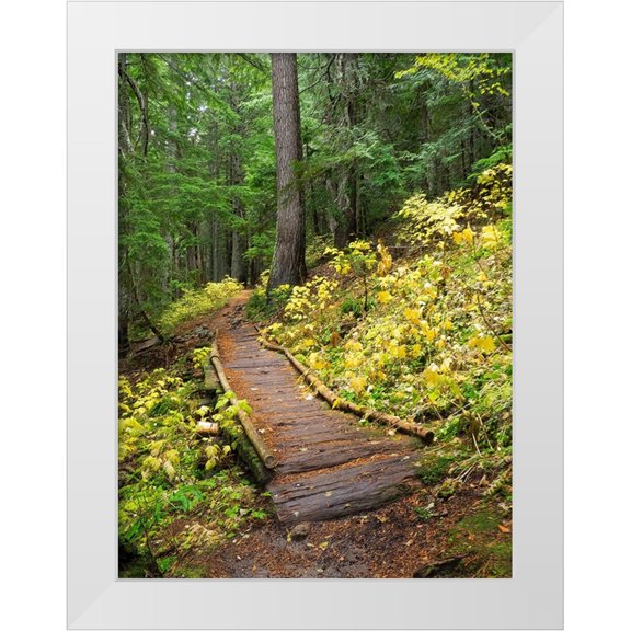 Wild, Jamie and Judy 12x14 White Modern Wood Framed Museum Art Print Titled - Washington State-Central Cascades Trail to Olallie Lake-old wooden section