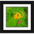 thumbnail image 1 of Wild, Jamie and Judy 13x12 Black Ornate Wood Framed with Double Matting Museum Art Print Titled - Washington State-Central Cascades-Columbia Tiger Lily wildflower, 1 of 4