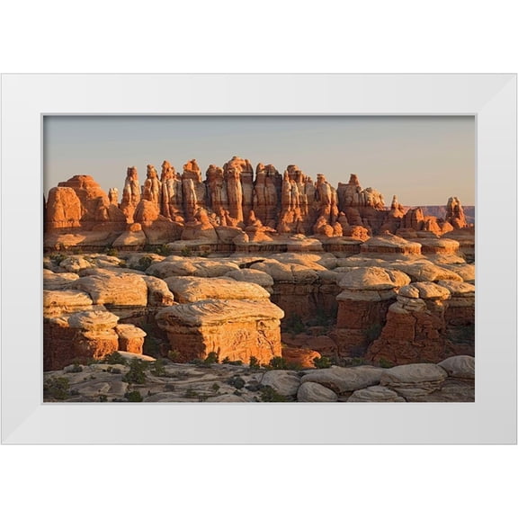 Wild, Jamie and Judy 14x11 White Modern Wood Framed Museum Art Print Titled - UT-Canyonlands National Park-The Needle Rock spires and grabens at Chester Park