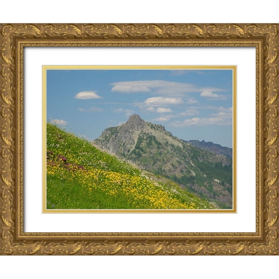 Wild, Jamie and Judy 18x15 Gold Ornate Wood Framed with Double Matting Museum Art Print Titled - Washington State-Central Cascades-Rampart Ridge-Alta Mountain and wildflowers