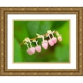 thumbnail image 1 of Wild, Jamie and Judy 14x12 Gold Ornate Wood Framed with Double Matting Museum Art Print Titled - Salal flowers, 1 of 4
