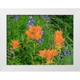 thumbnail image 1 of Wild, Jamie and Judy 14x12 White Modern Wood Framed Museum Art Print Titled - Washington State-Central Cascades-Hairy Paintbrush and Subalpine Lupine, 1 of 4