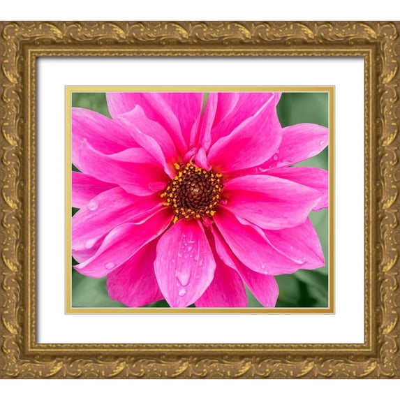 Wild, Jamie and Judy 17x15 Gold Ornate Wood Framed with Double Matting Museum Art Print Titled - WA-Redmond-Daisy
