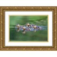 thumbnail image 1 of Wild, Jamie and Judy 18x13 Gold Ornate Wood Framed with Double Matting Museum Art Print Titled - WA-Mercer Slough-Wood Duck ducklings (Aix Sponsa), 1 of 4
