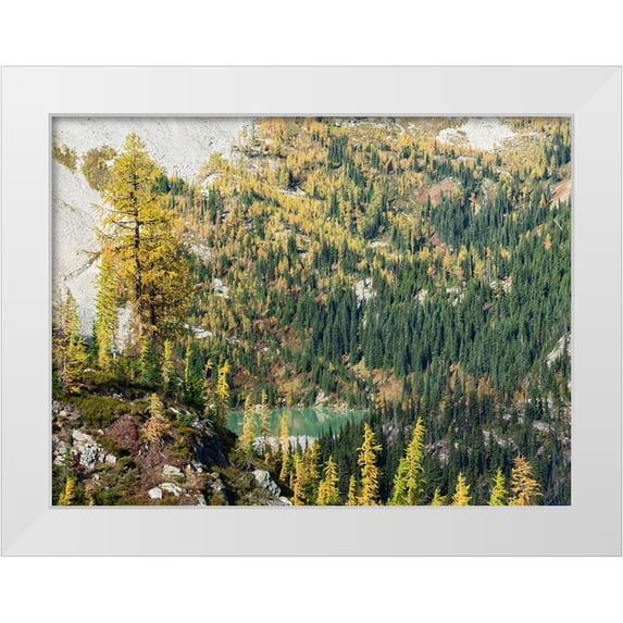 Wild, Jamie and Judy 24x19 White Modern Wood Framed Museum Art Print Titled - Washington State-North Cascades-Lewis Lake-view from Heather Pass
