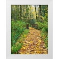 thumbnail image 1 of Wild, Jamie and Judy 25x32 White Modern Wood Framed Museum Art Print Titled - WA-Tiger Mountain-Leaf covered trail, 1 of 4