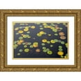 thumbnail image 1 of Wild, Jamie and Judy 32x22 Gold Ornate Wood Framed with Double Matting Museum Art Print Titled - WA-Phantom Lake-Lilly Pads, 1 of 4