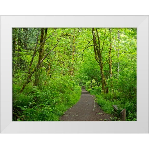 Wild, Jamie and Judy 32x25 White Modern Wood Framed Museum Art Print Titled - Washington State-Tiger Mountain trail
