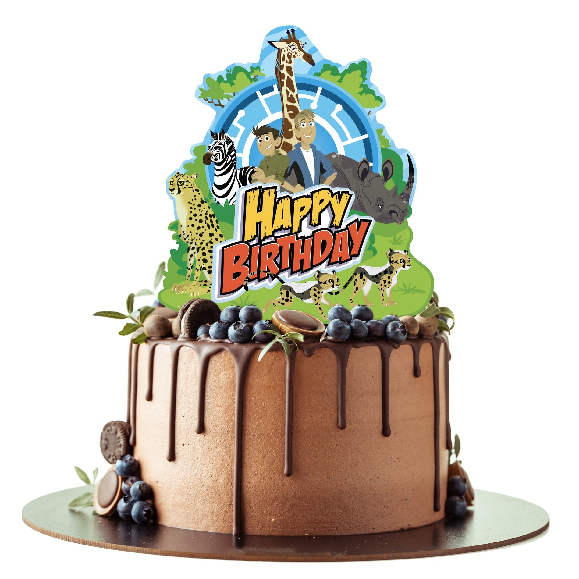 Wild Kratts Cake Topper Wild Kratts Party Supplies