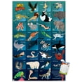 thumbnail image 1 of Wild Kratts - Grid Wall Poster, 22.375" x 34", 1 of 6