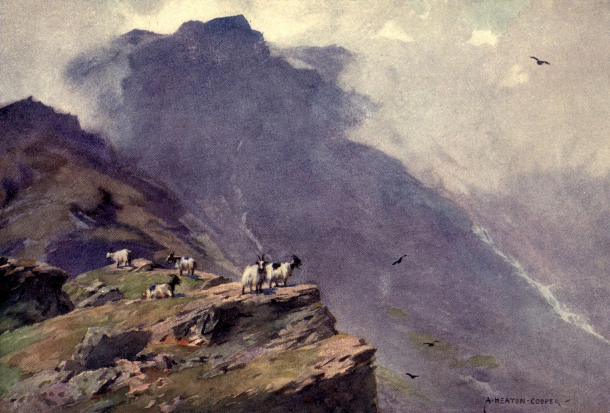 Wild Lakeland 1922 Goats on hills at Coniston Canvas Art - A Cooper (18 x 24)