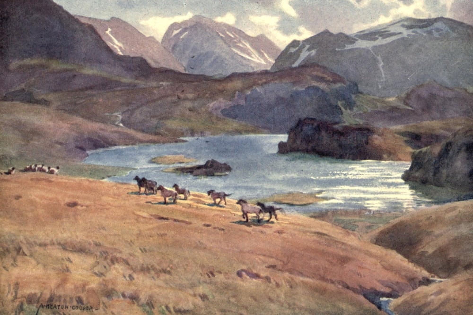 Wild Lakeland 1922 Wild mountain ponies at Angle Tarn Patterdale Canvas Art - A Cooper (18 x 24)