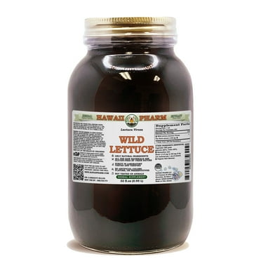 Wild Lettuce (Lactuca Virosa) Dry Herb ALCOHOL-FREE Liquid Extract. Expertly Extracted by Trusted HawaiiPharm Brand. Absolutely Natural. Proudly made in USA. Glycerite 32 Fl.Oz
