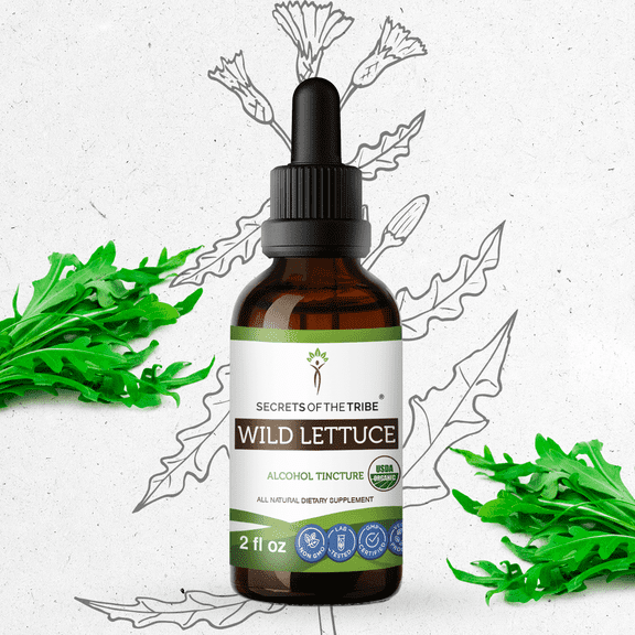 Secrets Of The Tribe Wild Lettuce Organic Tincture Dietary Supplement, Natural Herbal Extract for Calm Support, Certified Organic Wild Lettuce (Lactuca virosa) Dried Herb, Alcohol Extract, Drops 2 oz